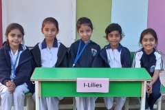 332216246_907940010454410_7552456985687360461_n